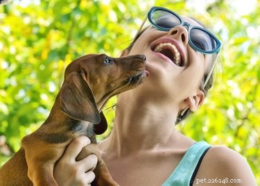 Why Dogs Love Us: The Science Behind Their Loyalty