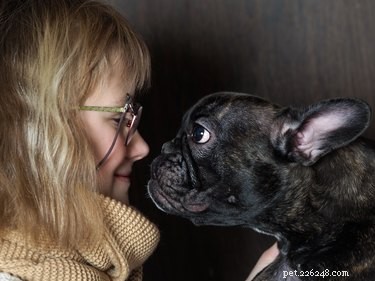 Understanding Dogs That Show Affection to Everyone