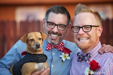 Does Your Dog Feel Jealous of Your New Boyfriend?
