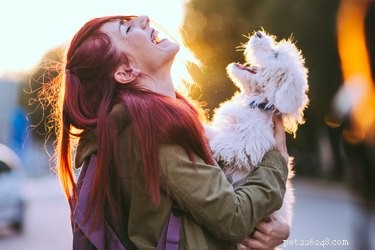 Why a Dog Might Show Dislike: Understanding Their Signals
