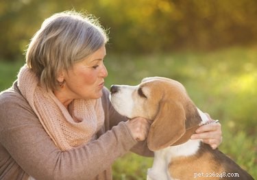 Why a Dog Might Show Dislike: Understanding Their Signals