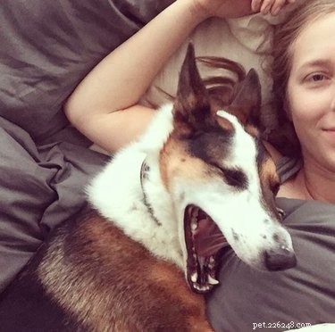 The Science Behind Contagious Yawning in Humans: Why Seeing a Yawn Triggers Your Own