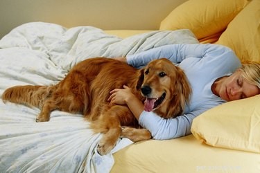 Why Dogs Snuggle With You: The Significance of Their Cuddling Behavior
