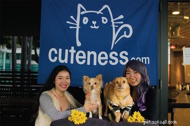Turn Your Pet into an Instagram Star: Proven Steps for Success