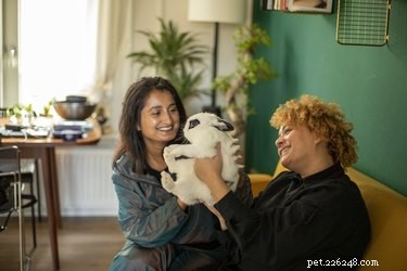 Effective Techniques to Stop Your Rabbit from Biting