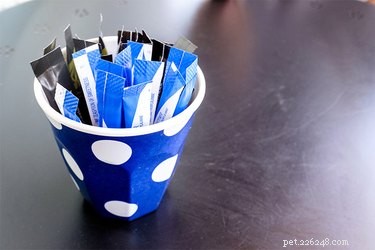 Aspartame in Dogs: Risks, Symptoms, and Safe Feeding Practices