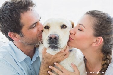 Do Dogs Know When They’re Spoiled? Understanding the Impact of Overindulgence