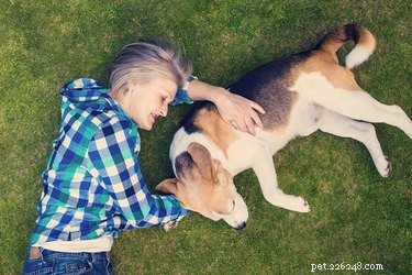 How Therapy Dogs Alleviate Depression: Proven Benefits and Guidance