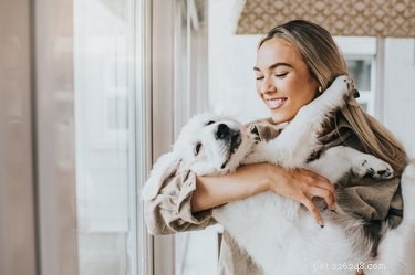 How Much Time Does a Puppy Need? Daily Care Guide