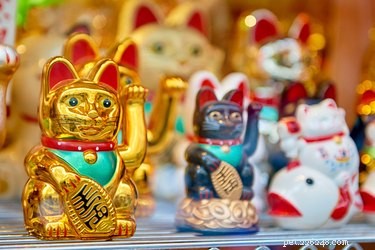 Global Cat Folklore & Legends: Myth, Mystery, and Cultural Significance