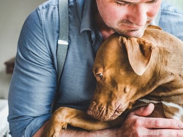 Why Dogs Sit on You: Understanding Their Comfort and Connection