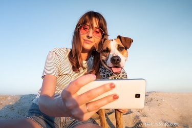 How to Foster a Loving Bond with Your Dog