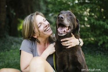 Why Do Dogs Duck Their Heads When You Pet Them?