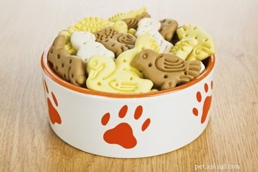 Ceramic vs. Stainless Steel Pet Bowls: Which Is Best for Your Dog
