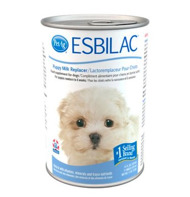 How to Transition Your Puppy to Solid Food: A Step-by-Step Guide