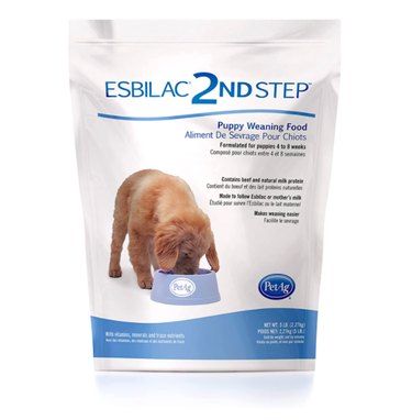 How to Transition Your Puppy to Solid Food: A Step-by-Step Guide