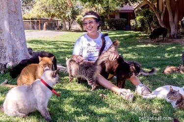 Lynea Lattanzio: Founder of the World’s Largest No‑Cage, No‑Kill Cat Sanctuary
