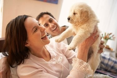 When to Neuter a Male Puppy: Best Age for Health & Behavior