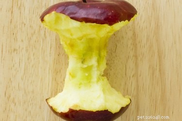 Are Fruit Cores Harmful to Dogs? What You Need to Know
