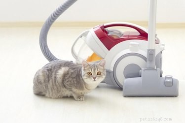 Clean Pet Hair from Under Your Refrigerator—Effortless, Step‑by‑Step Guide
