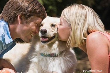 Can Humans Contract Illnesses from Dogs? A Clear Guide to Zoonotic Risks
