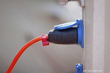 Prevent Your Dog from Chewing Outdoor Wires: Simple Strategies for Safety