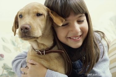How to Show Your Dog Love: Proven Strategies for a Strong Bond