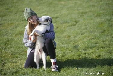 Why Your Dog Licks You: Understanding the Meaning Behind Their Licks