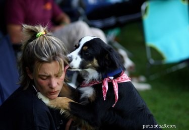 Why Your Dog Licks You: Understanding the Meaning Behind Their Licks