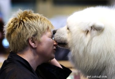 Why Your Dog Licks You: Understanding the Meaning Behind Their Licks