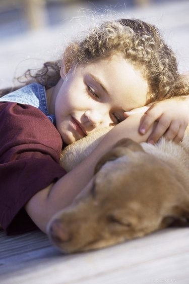 Do Dogs Dream? Insights into Canine Sleep & Nightmares