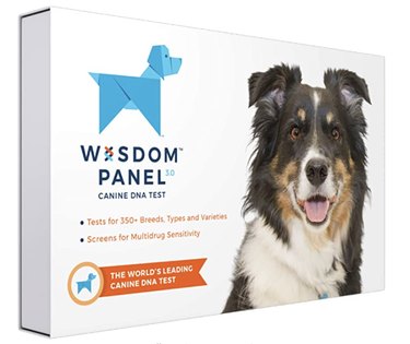 Top Dog DNA Tests: Reveal Your Pet’s True Heritage