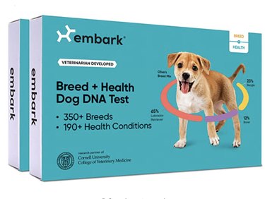 Top Dog DNA Tests: Reveal Your Pet’s True Heritage