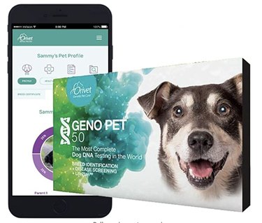 Top Dog DNA Tests: Reveal Your Pet’s True Heritage