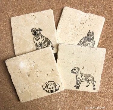 The Definitive Holiday Gift Guide for Passionate Pit Bull Owners