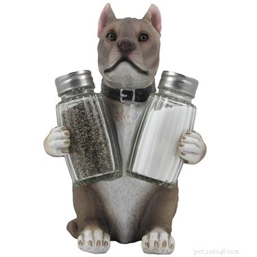 The Definitive Holiday Gift Guide for Passionate Pit Bull Owners