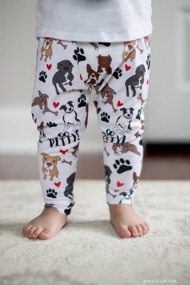 The Definitive Holiday Gift Guide for Passionate Pit Bull Owners