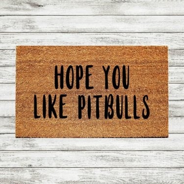 The Definitive Holiday Gift Guide for Passionate Pit Bull Owners