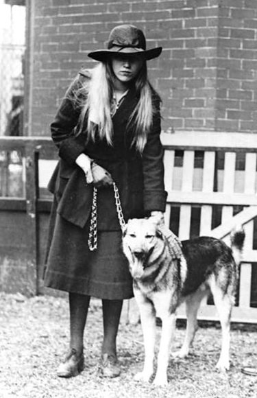 A Century of Canine Favorites: Top Dog Breeds Through the Years