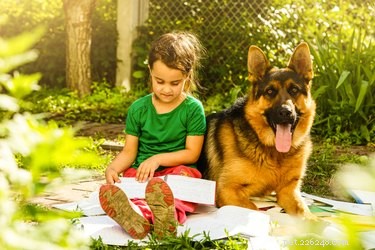 German Shepherds and Children: A Trusted Guide to Family Compatibility