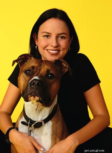 Boxers vs. Pit Bulls: Health, Temperament, and Care Differences