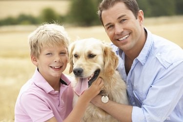 Top Dog Breeds with the Best Temperaments for Every Lifestyle