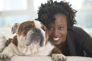 Top Dog Breeds Perfect for Apartment and Suburban Homes