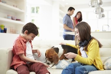 Top Dog Breeds Perfect for Apartment and Suburban Homes