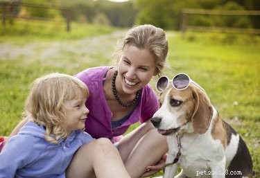 Top 10 Family‑Friendly Dog Breeds for Kids