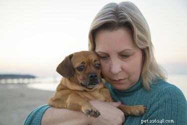 Psychiatric Service Dogs: Effective Allies in Depression Management