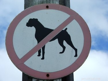 Kansas Pit Bull Ownership Regulations: Current Laws and Enforcement