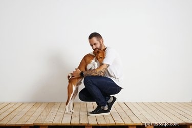 Step-by-Step Guide to Becoming a Professional Dog Breeder