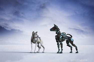 100 Futuristic Dog Names to Spark Your Pup’s Future