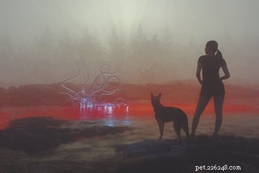 100 Futuristic Dog Names to Spark Your Pup’s Future